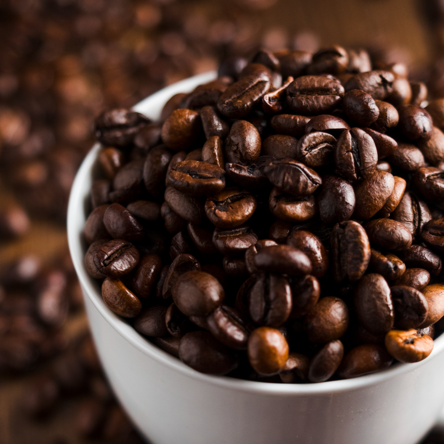 Organic African Robusta Coffee Beans Bulk Supply