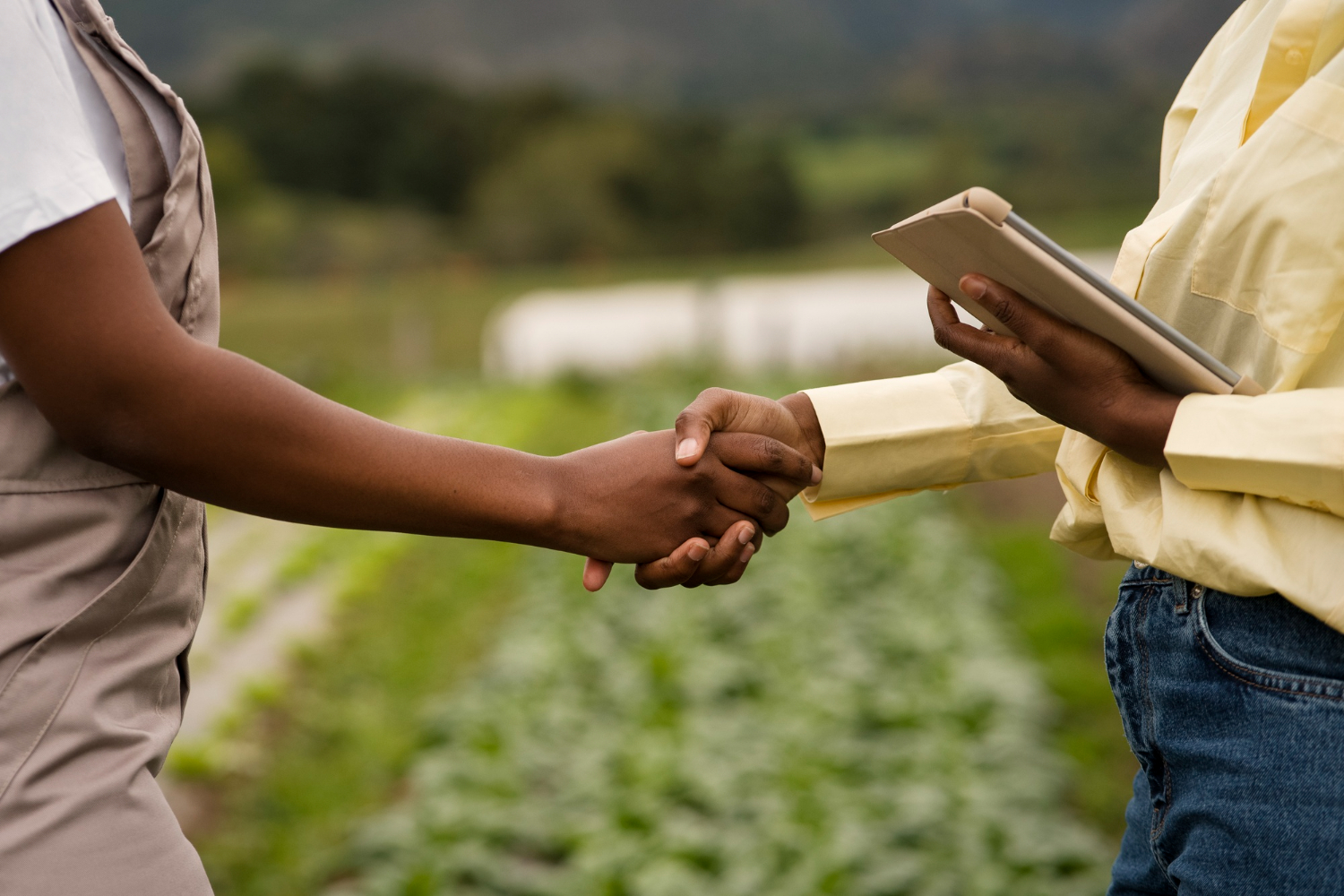 Refined Coffee Canada Service: Farmer Partnerships