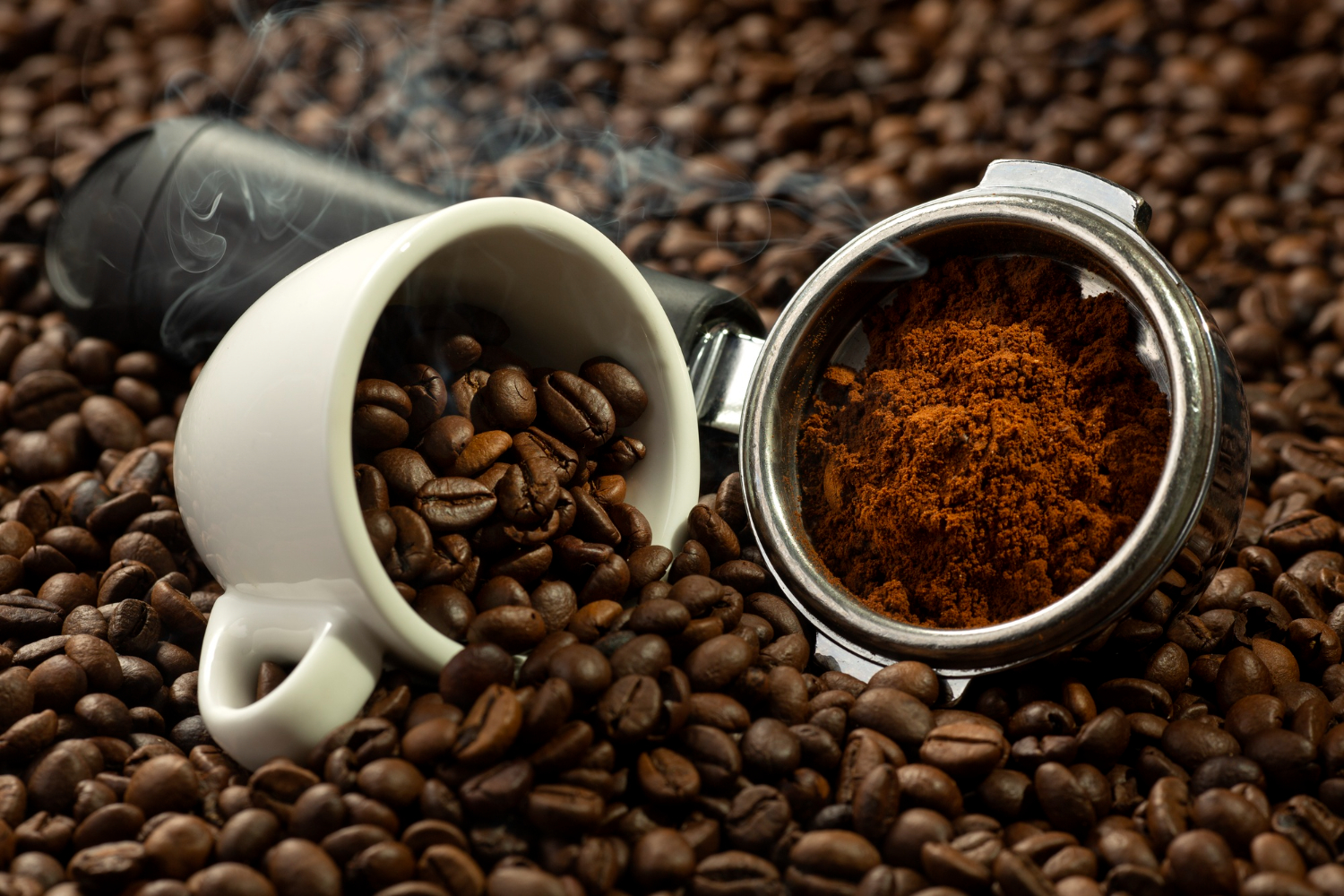 From Bean to Cup 